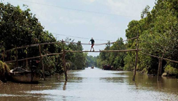 Vietnamese Monkey Bridge is in the Top 15 Most Dangerous Bridges in The World