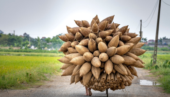 Why a Vietnam Bike Tour Belongs on Your Bucket List ?