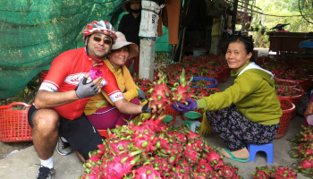 Cycling In Vietnam Dragon Fruit Fields